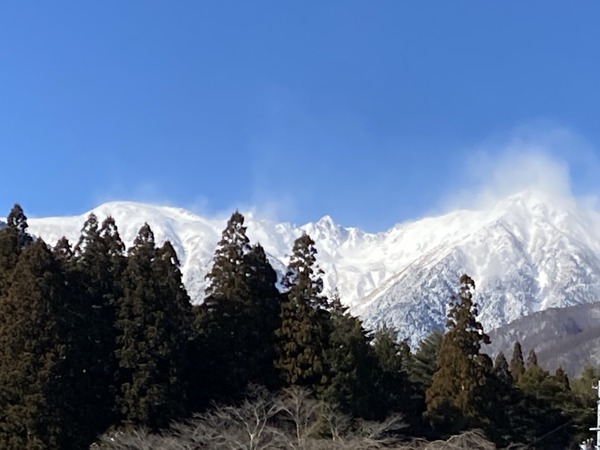 IMG_3877.jpeg
