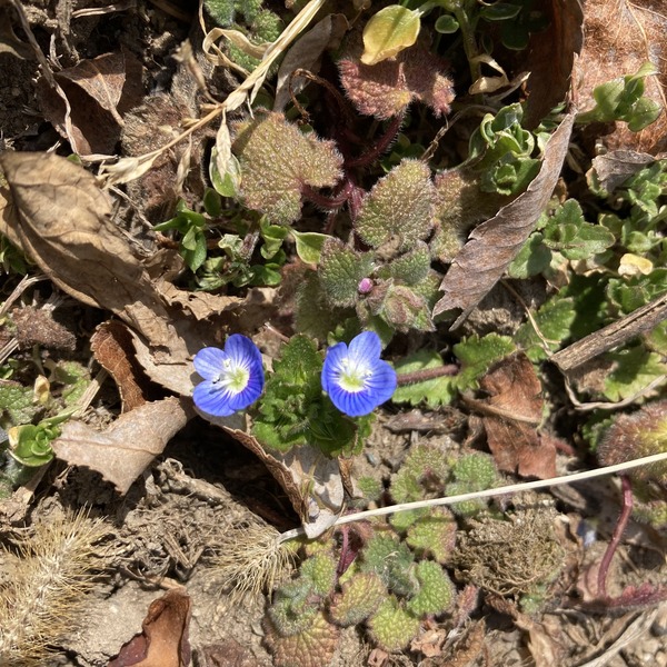 IMG_3921 2.jpeg